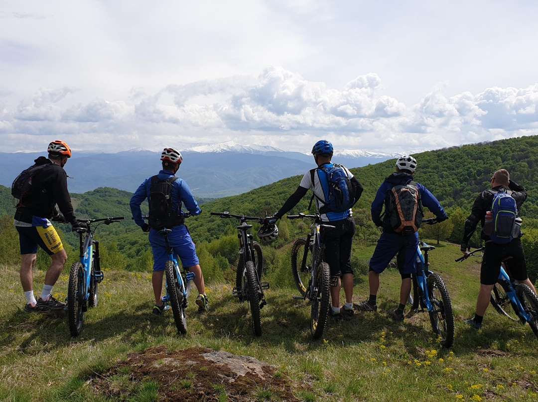RoMountainbike - mountainbike rental & e-bike experience景点图片