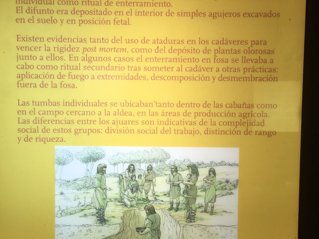 Museo Arqueológico y Paleontológico景点图片