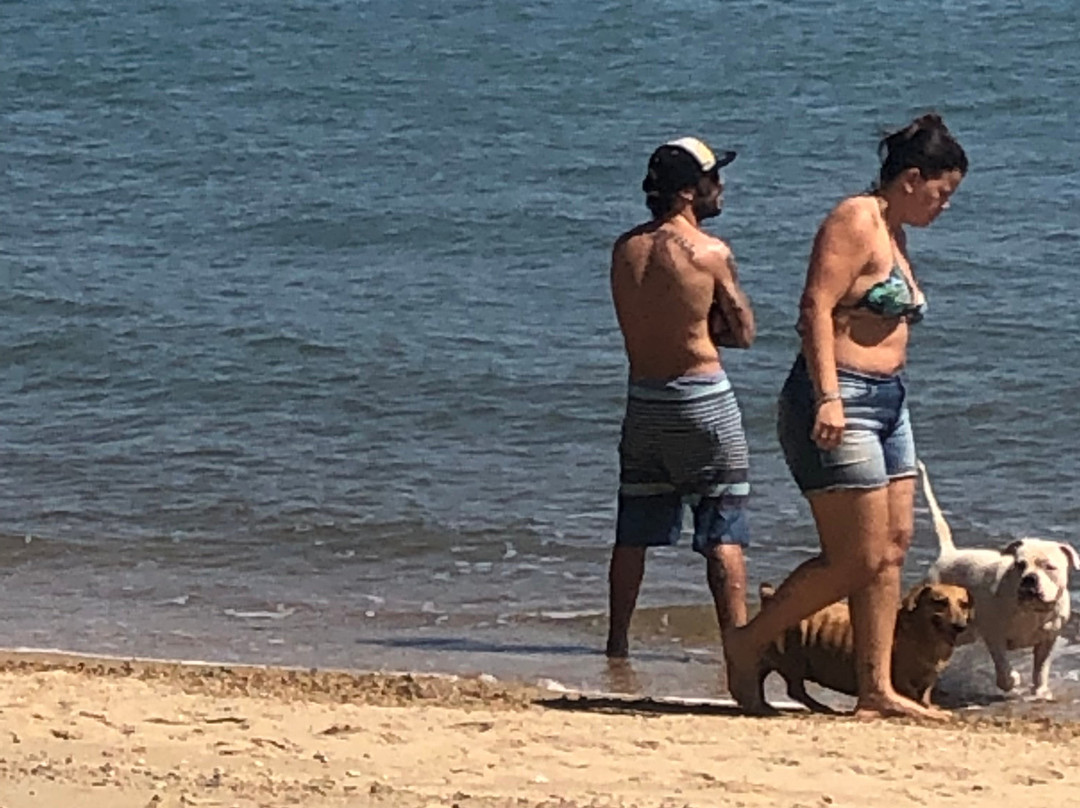 Praia de Perequê-伊利亚贝拉必去景点