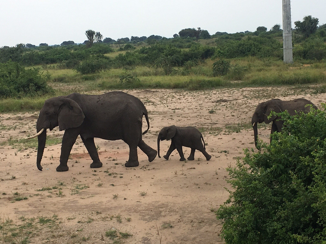 GreTours-恩德培必去景点