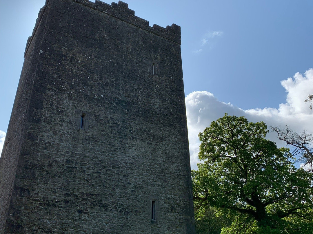Ross Castle B&B主图