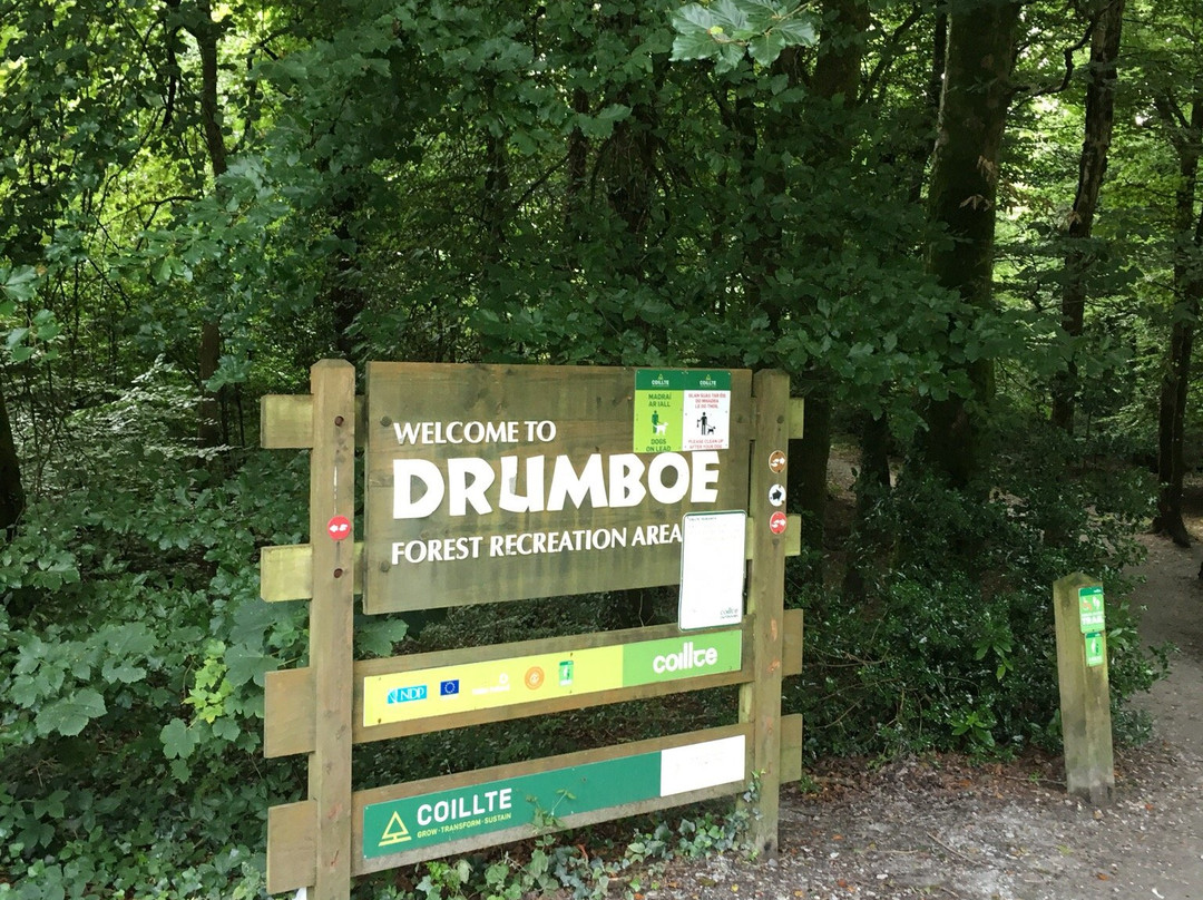 Drumboe Woods景点图片
