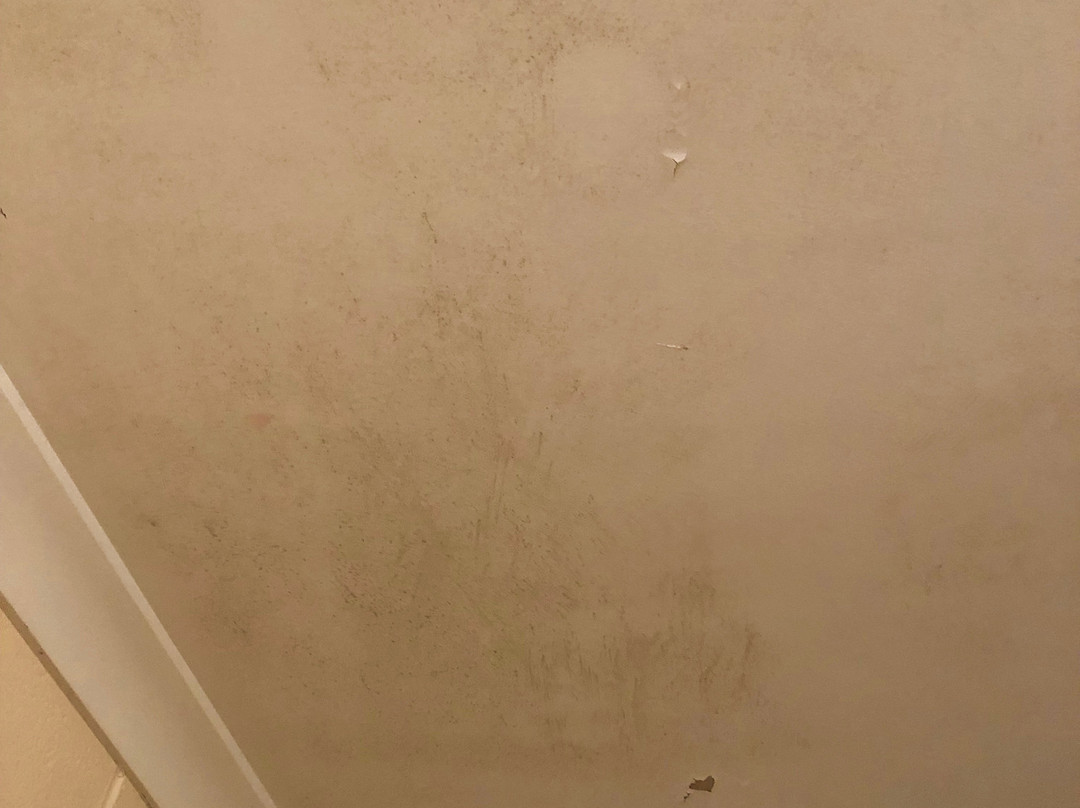 Coral Reef Resort主图