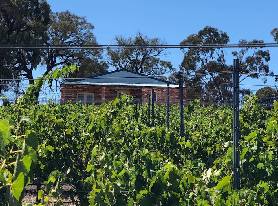 Bigibila Wines-Moonambel必去景点