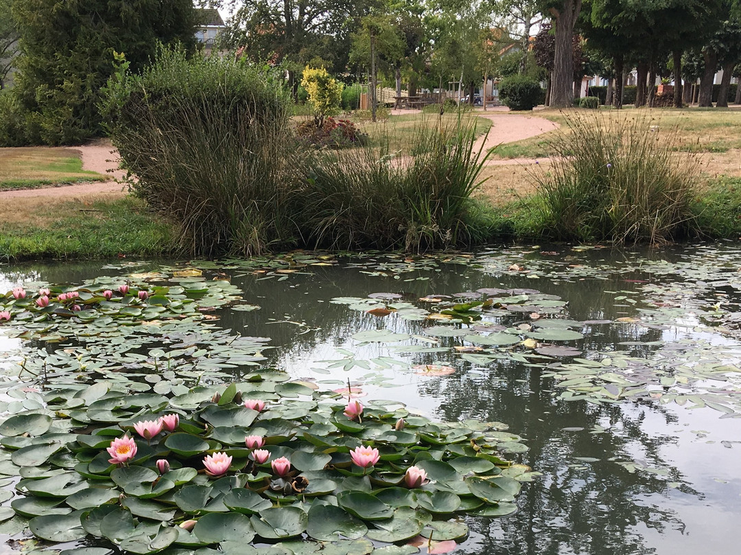 Parc Floral景点图片