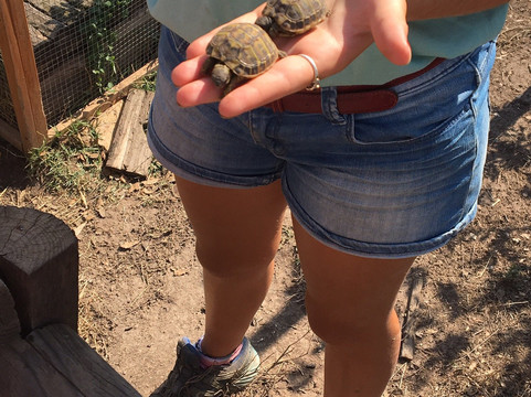 La Ferme De Padula-维琪奥港必去景点