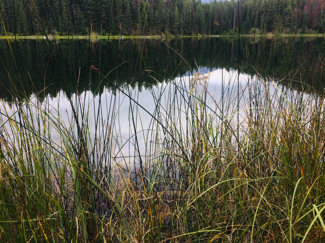 Mina - Riley Lakes Loop-贾斯珀必去景点