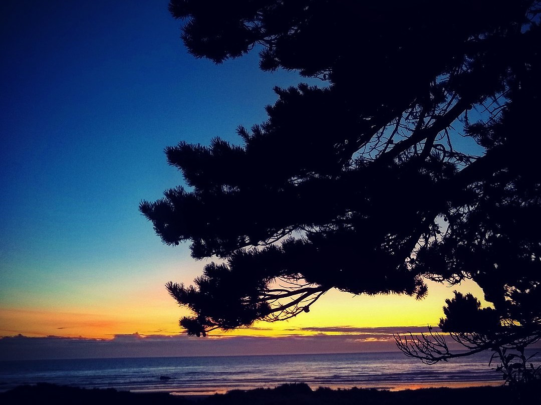 Windermere on the Beach主图