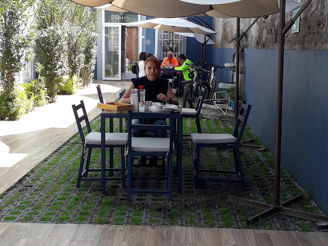 Xoxula by Inmense主图