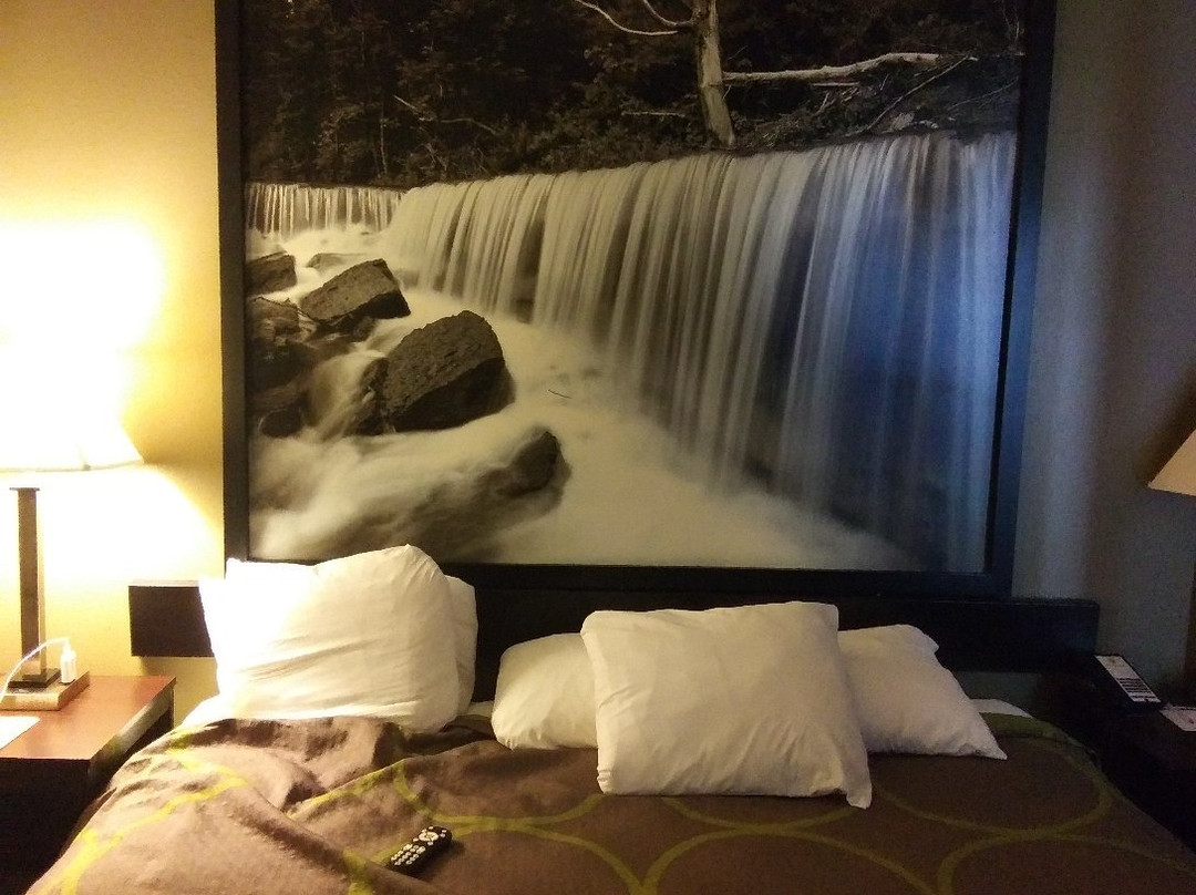 Super 8 by Wyndham Monett主图