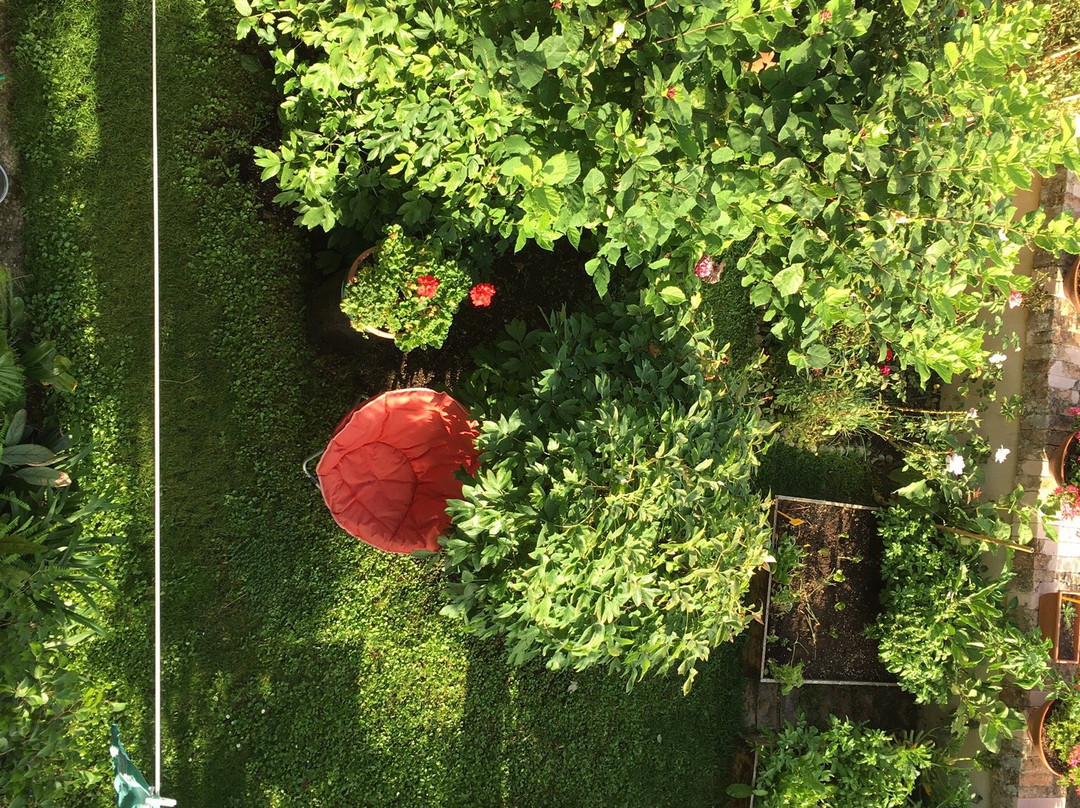 B&B Il Giardino Nascosto主图