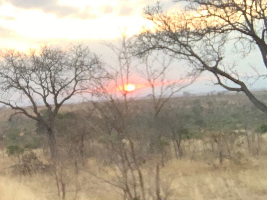 Kruger Park Tours - Kruger Game Drive-雾观必去景点