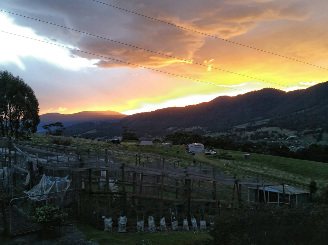 House on the Hill Country Bed and Breakfast主图