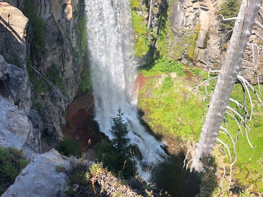 Tumalo Falls景点图片