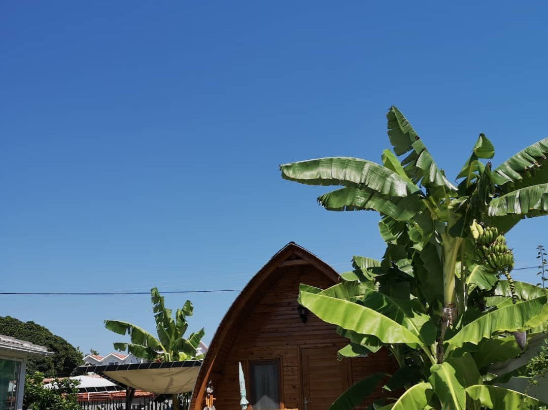 Casa Pallet Hotel主图