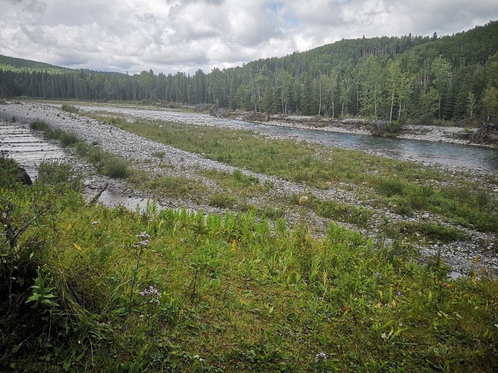 Bragg Creek Provincial Park景点图片