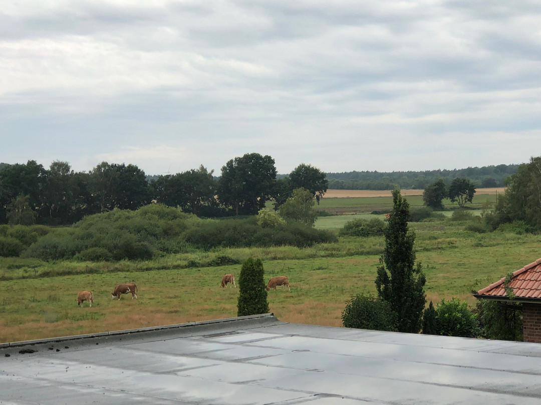 Hotel Wülfers Gasthaus主图