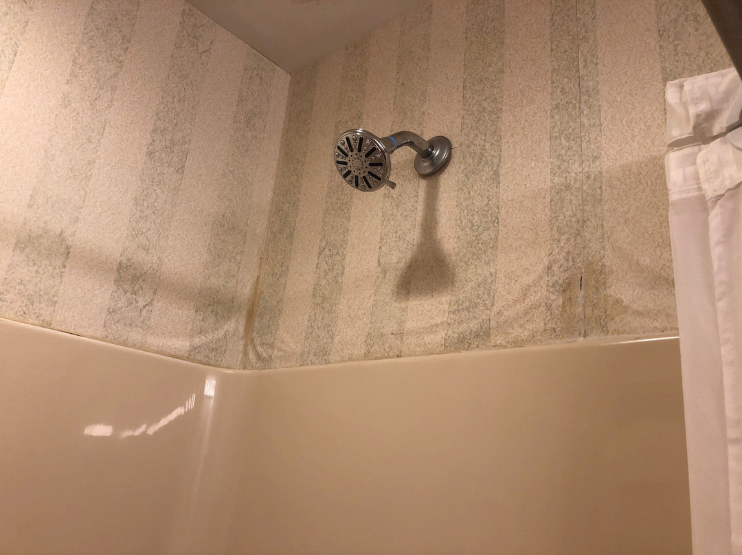 Comfort Inn & Suites East Greenbush - Albany主图