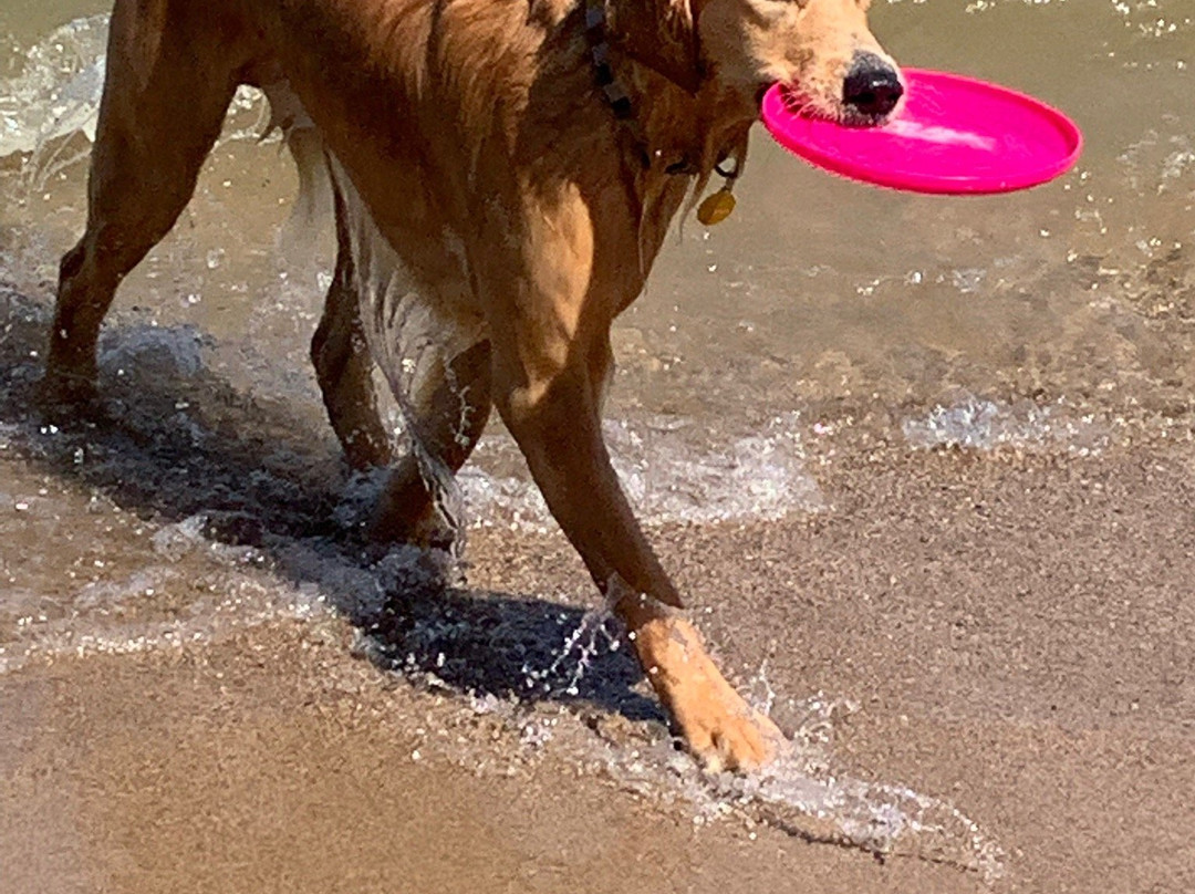 Winnipeg Beach-温尼伯海滩必去景点