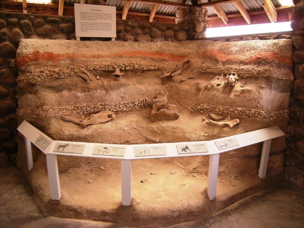 Olorgesailie Pre-Historic Site景点图片
