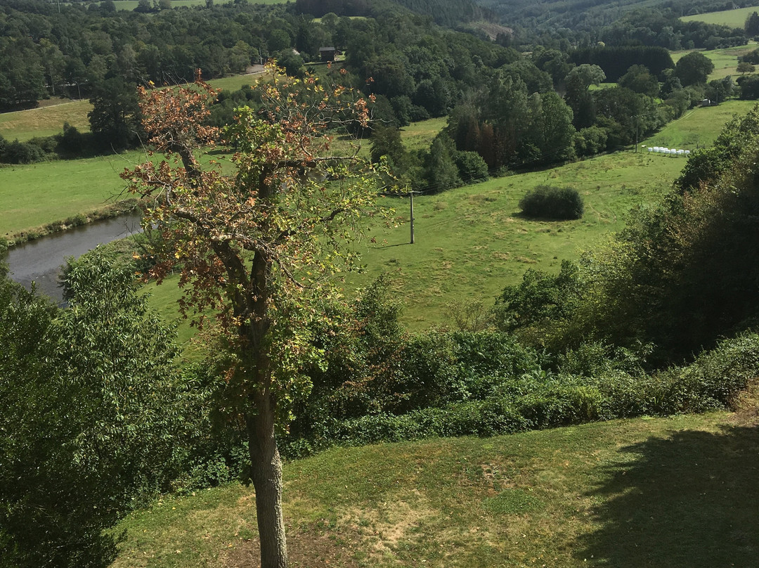 Hotel Les Tilleuls主图