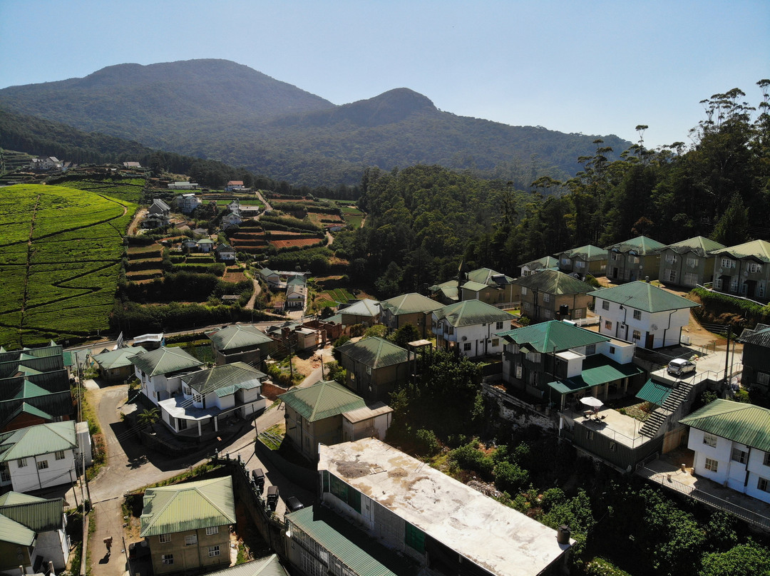 Top Terrace Cottage主图