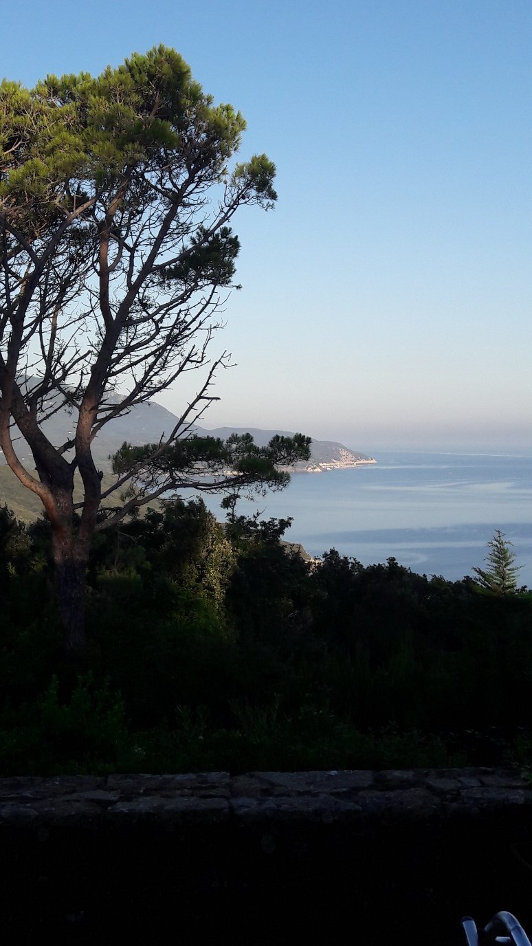 Bed & Breakfast La Collina-官方