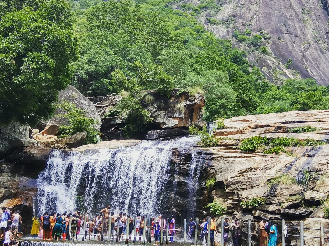 Thirumoorthi Dam景点图片