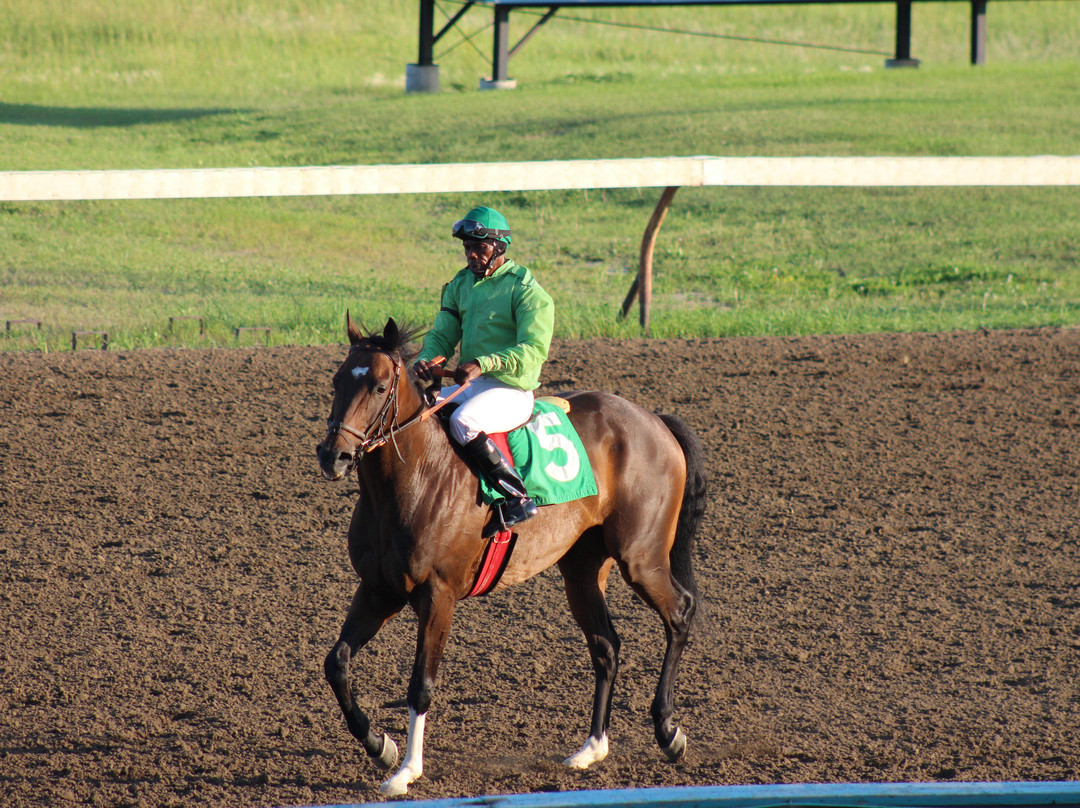 Marquis Downs-萨斯卡通必去景点