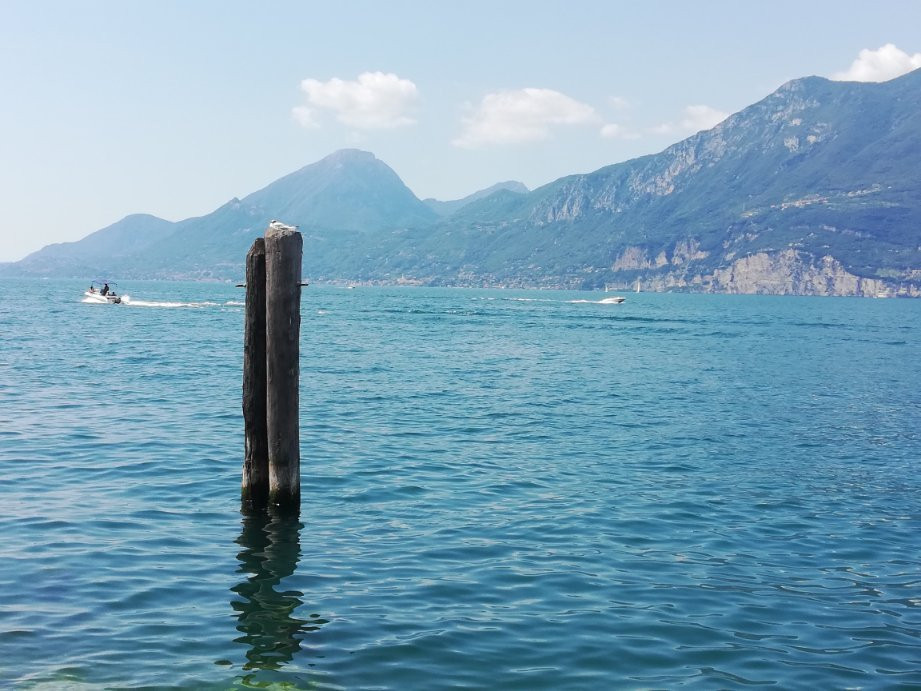 Hotel Villa Beatrice主图