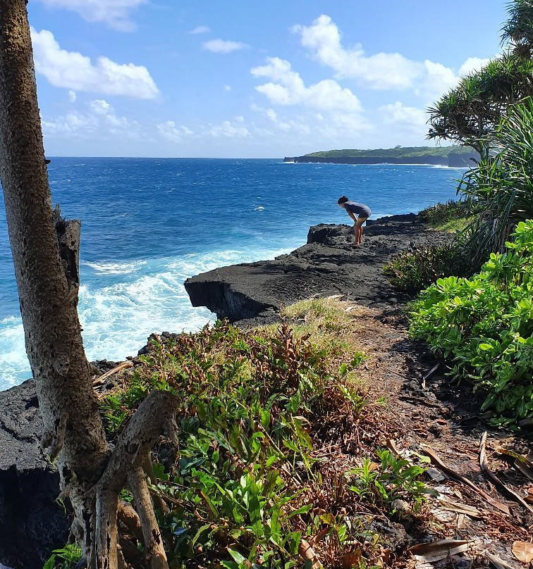 O le Pupu-Pue National Park-Upolu必去景点