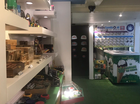 The Magic Mushroom Gallery-阿姆斯特丹必去景点