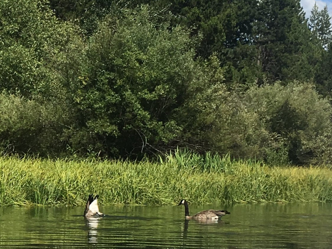 Sunriver Toyhouse-太阳河必去景点