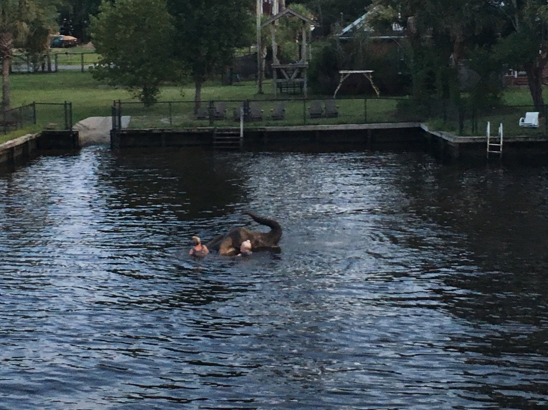 Island Time Cruises, Myrtle Beach-美特尔海滩必去景点