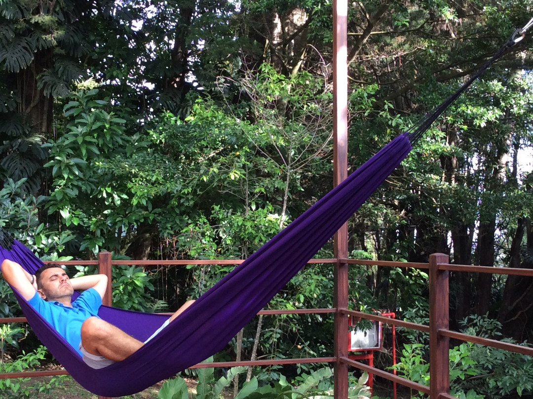 Los Pinos - Cabañas & Reserva主图