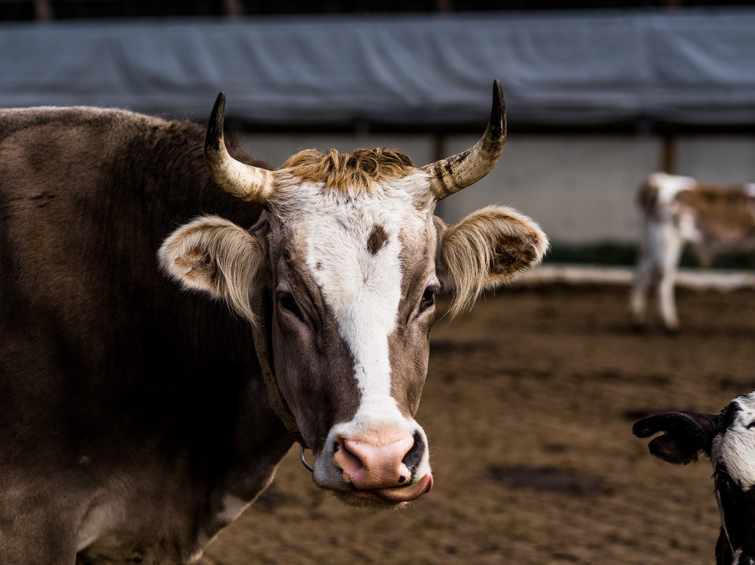 Hawthorne Valley Farm-Ghent必去景点