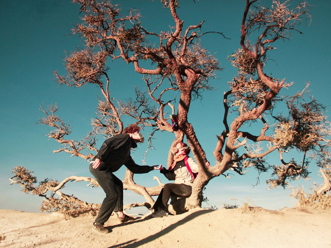 Ijen Tamansari Tour-巴纽旺宣必去景点