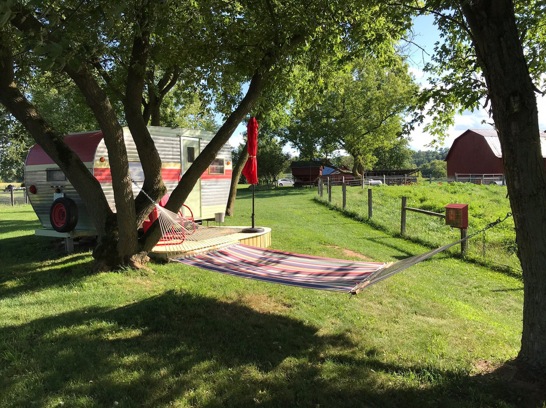Circle M Farm
