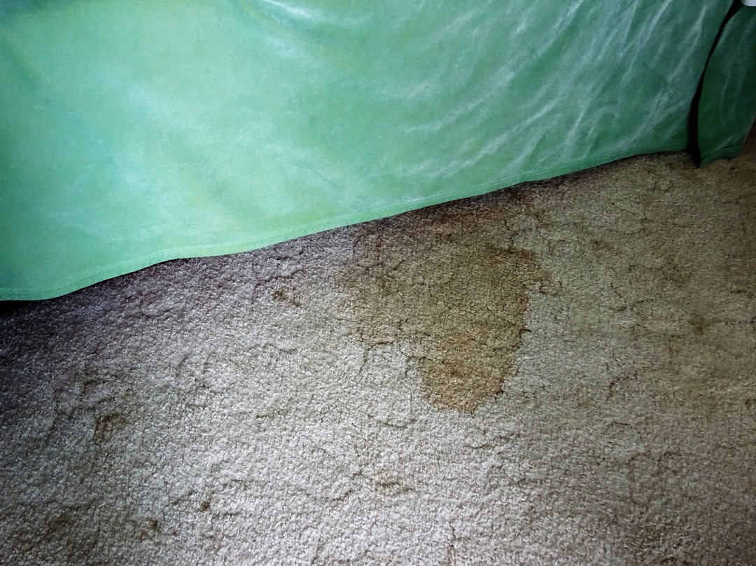 Waterfront Suites and Marina