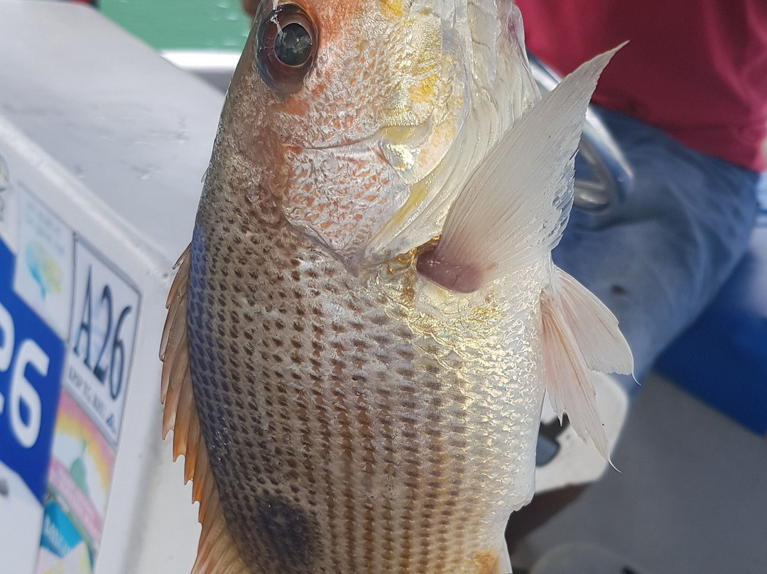 Dayang Bunting Marble Geoforest Park-Pulau Dayang必去景点