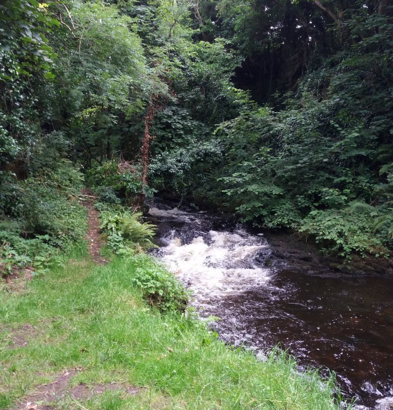 The Abbey Mill-Ballyshannon必去景点
