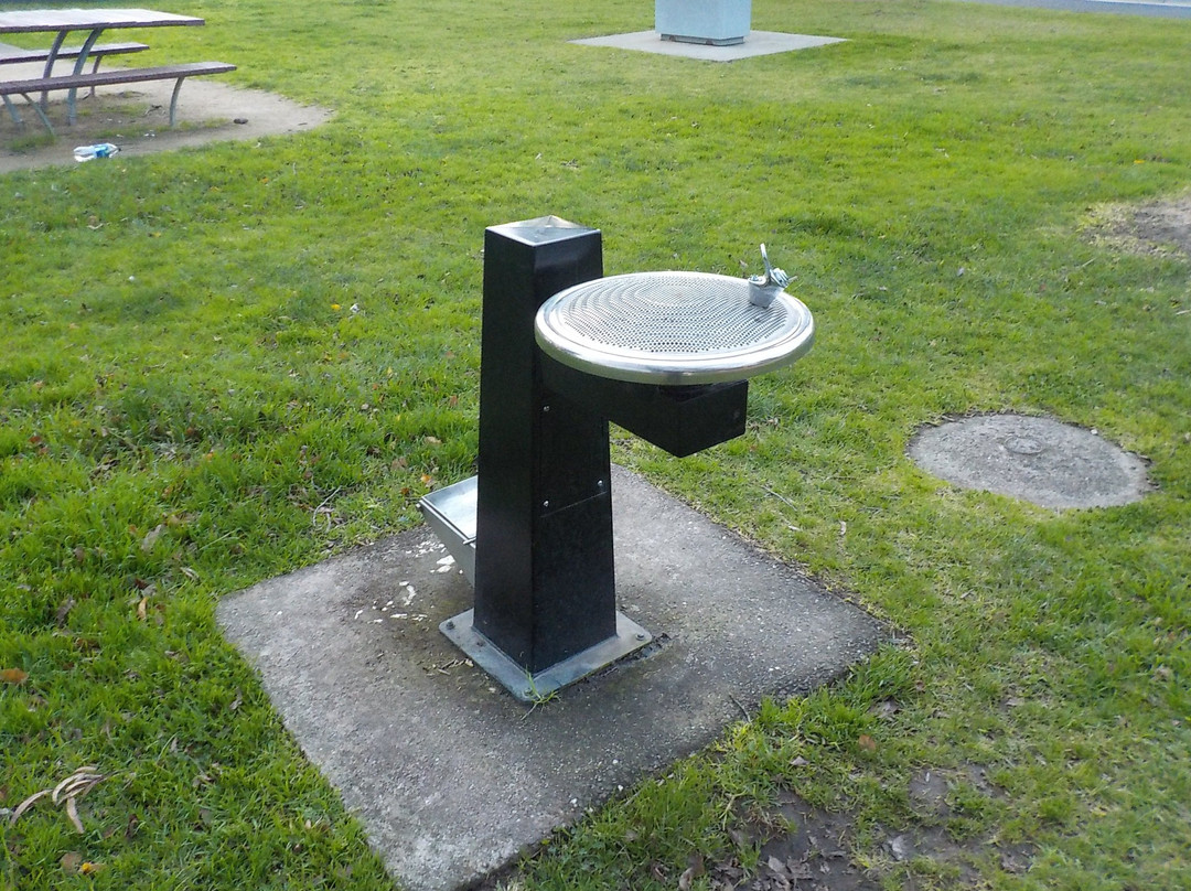 Bain Reserve景点图片