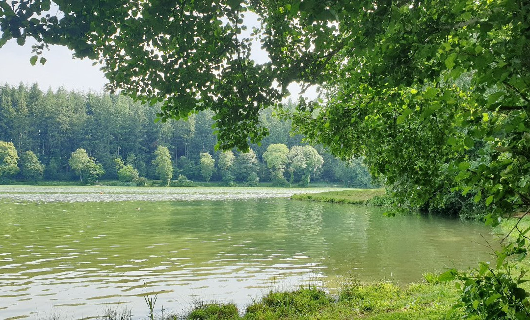 Shearwater Lake景点图片
