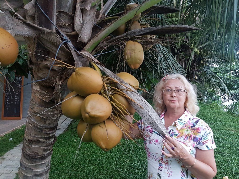 Sanu Lagoon spa-唐卡拉必去景点