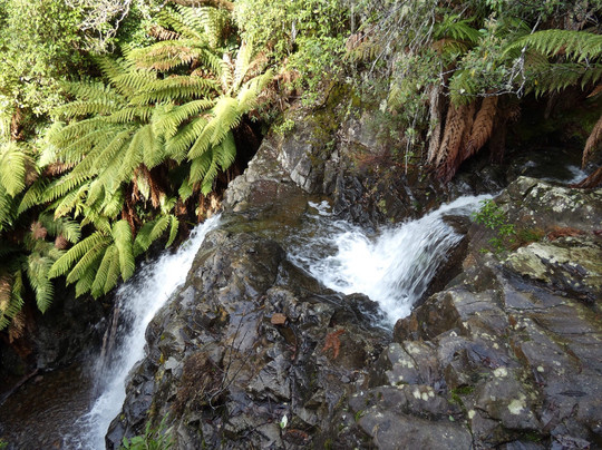 Myrtle Forest-霍巴特必去景点