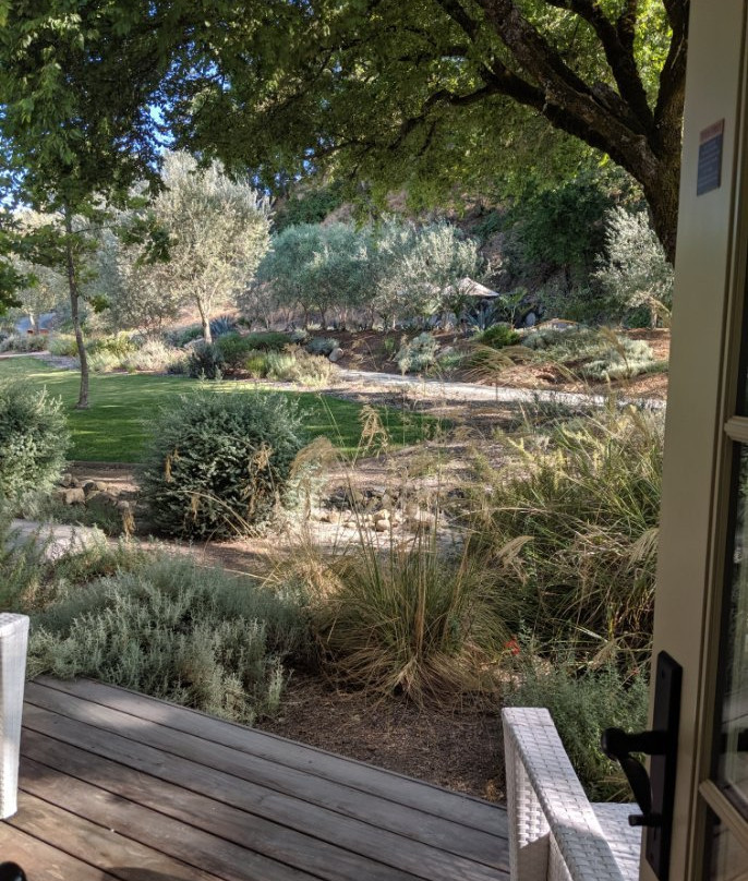 Indian Springs Calistoga主图