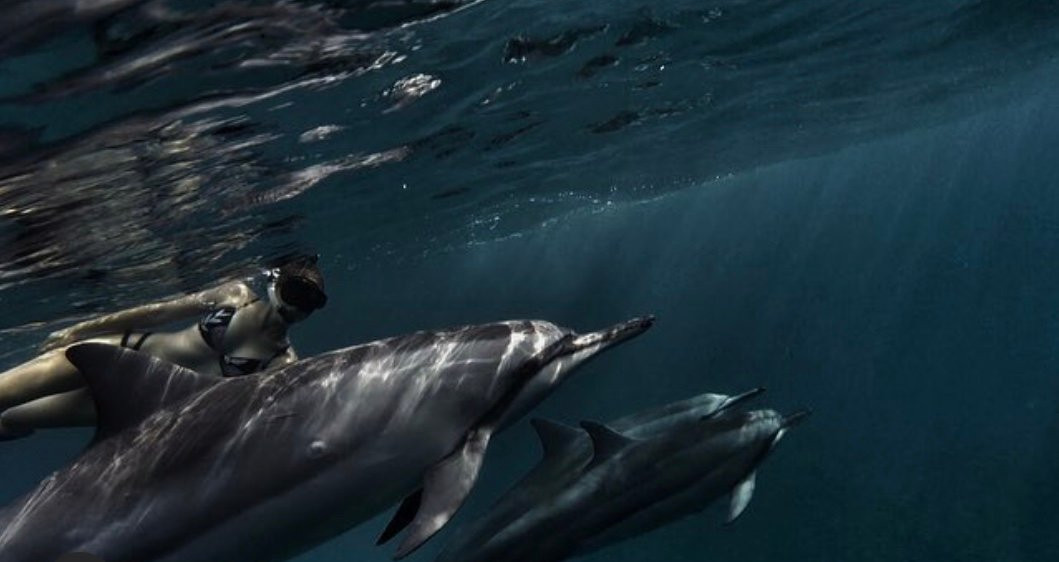 Ohana Guides-库克船长必去景点