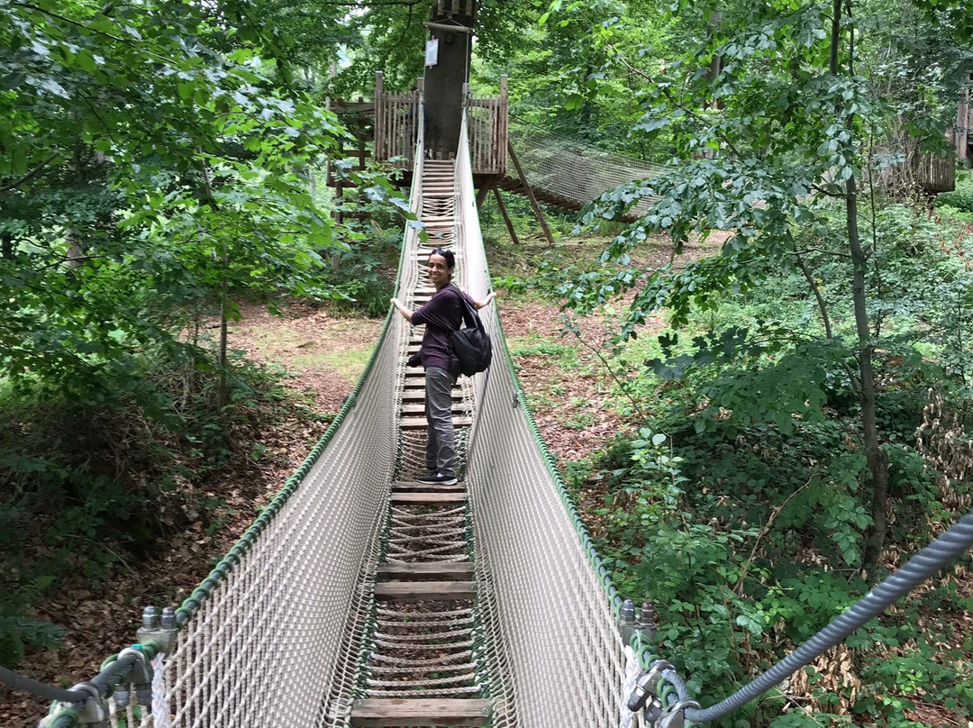 Baumkronenweg Waldkirch景点图片