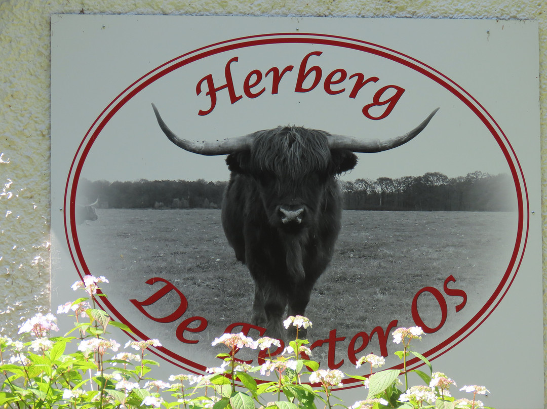 Herberg De Eexter Os主图