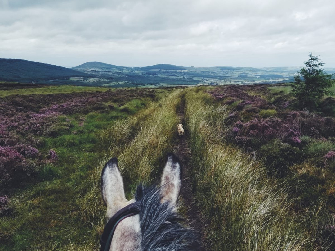 The Wicklow Way-Wicklow必去景点